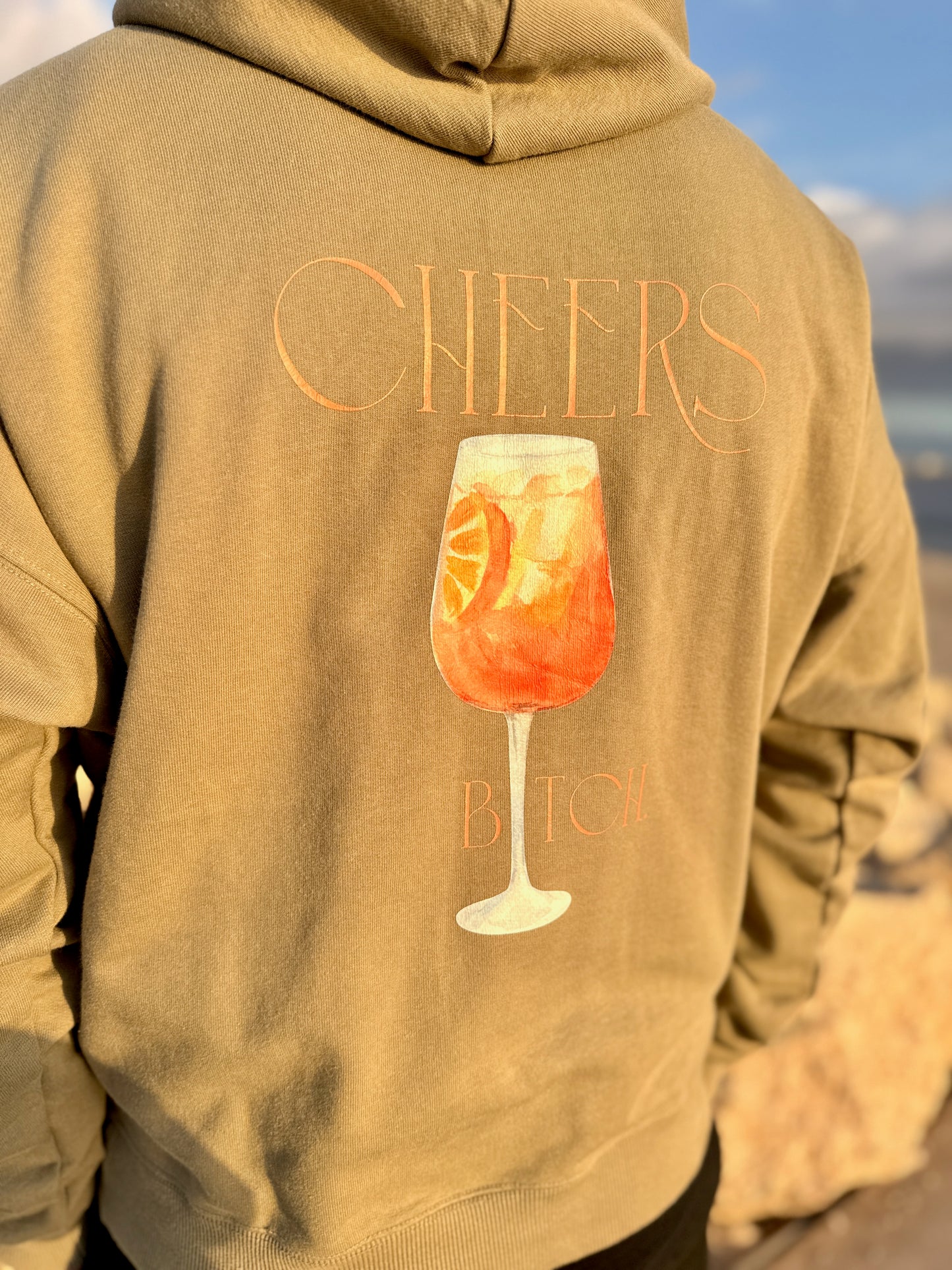 Hoodie "Cheers"